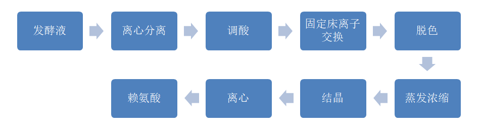 賴氨酸傳統生產工藝 (2).jpg