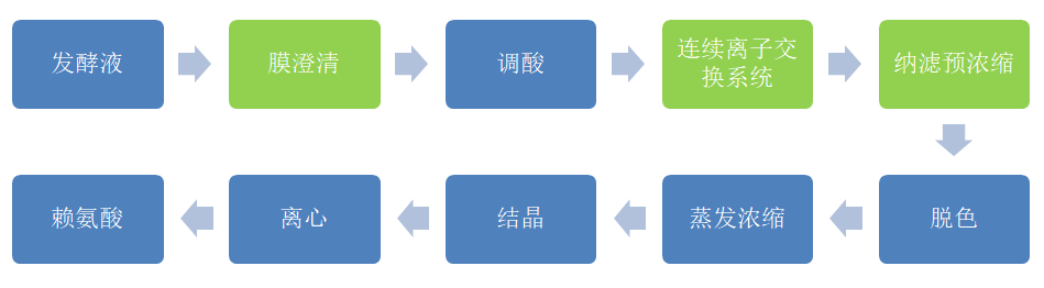 賴氨酸改良生產工藝 (2).jpg